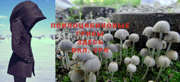 эйфоретик Осташков