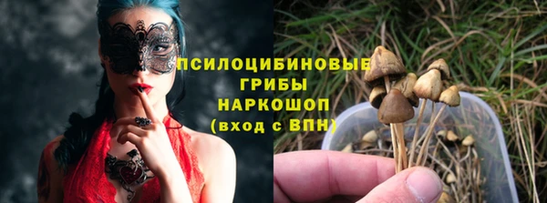 трава Алзамай