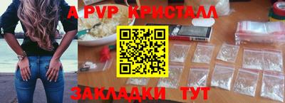 крисы Славгород
