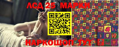 крисы Славгород