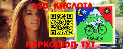 крисы Славгород