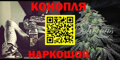 крисы Славгород