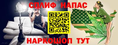 крисы Славгород