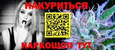 крисы Славгород