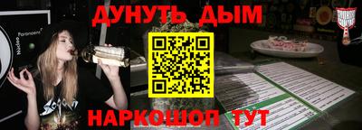 крисы Славгород