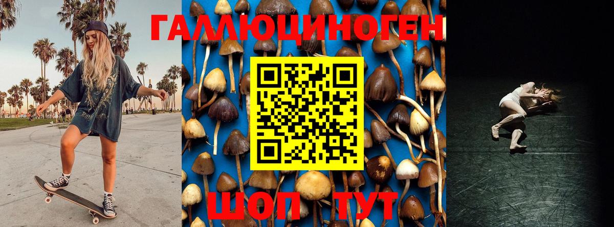 Псилоцибиновые грибы Magic Shrooms  сколько стоит  Сибай  Вход с VPN 